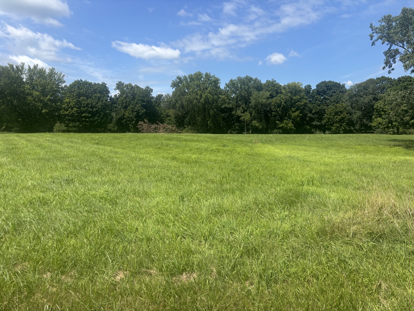 2nd image of 783 Lake Wildwood Dr, Varna, IL 61375 | MLS# 12686478