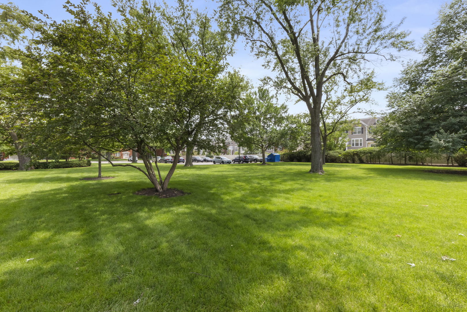 Homes for sale in Arlington Heights, IL | 809 E Miner St, Arlington Heights, IL 60004