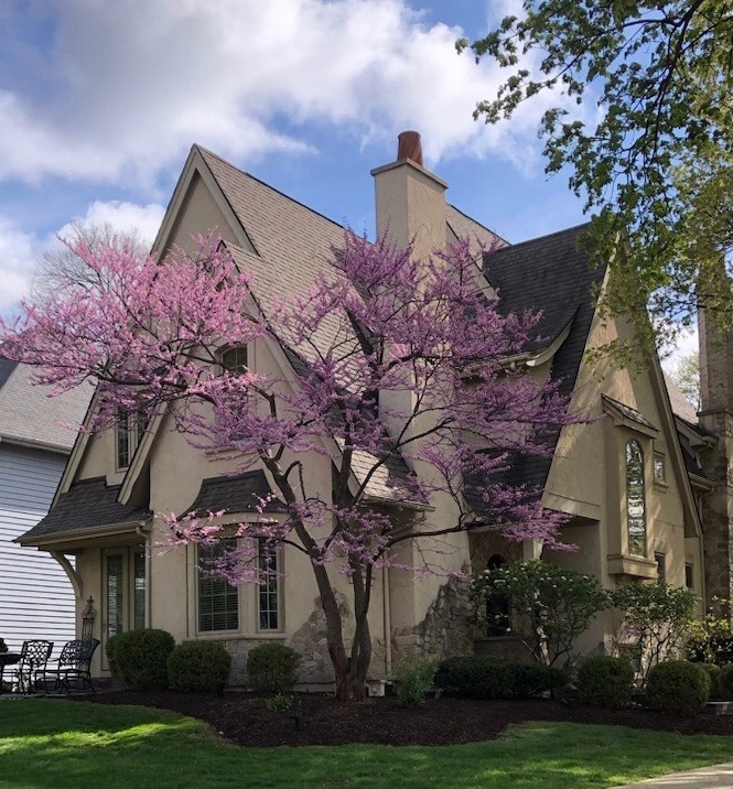 1st image of 706 N Ellsworth St, Naperville, IL 60563 | MLS# 12694577