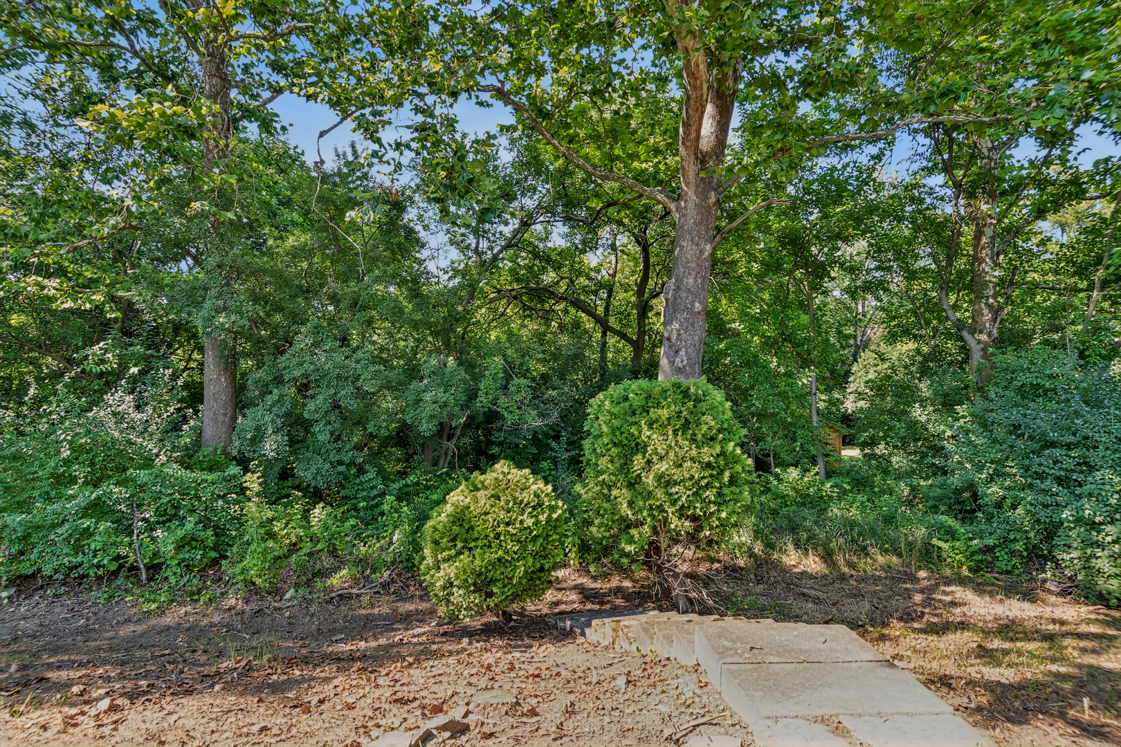 24th image of 1124 59th St, Downers Grove, IL 60516 | MLS# 12695428