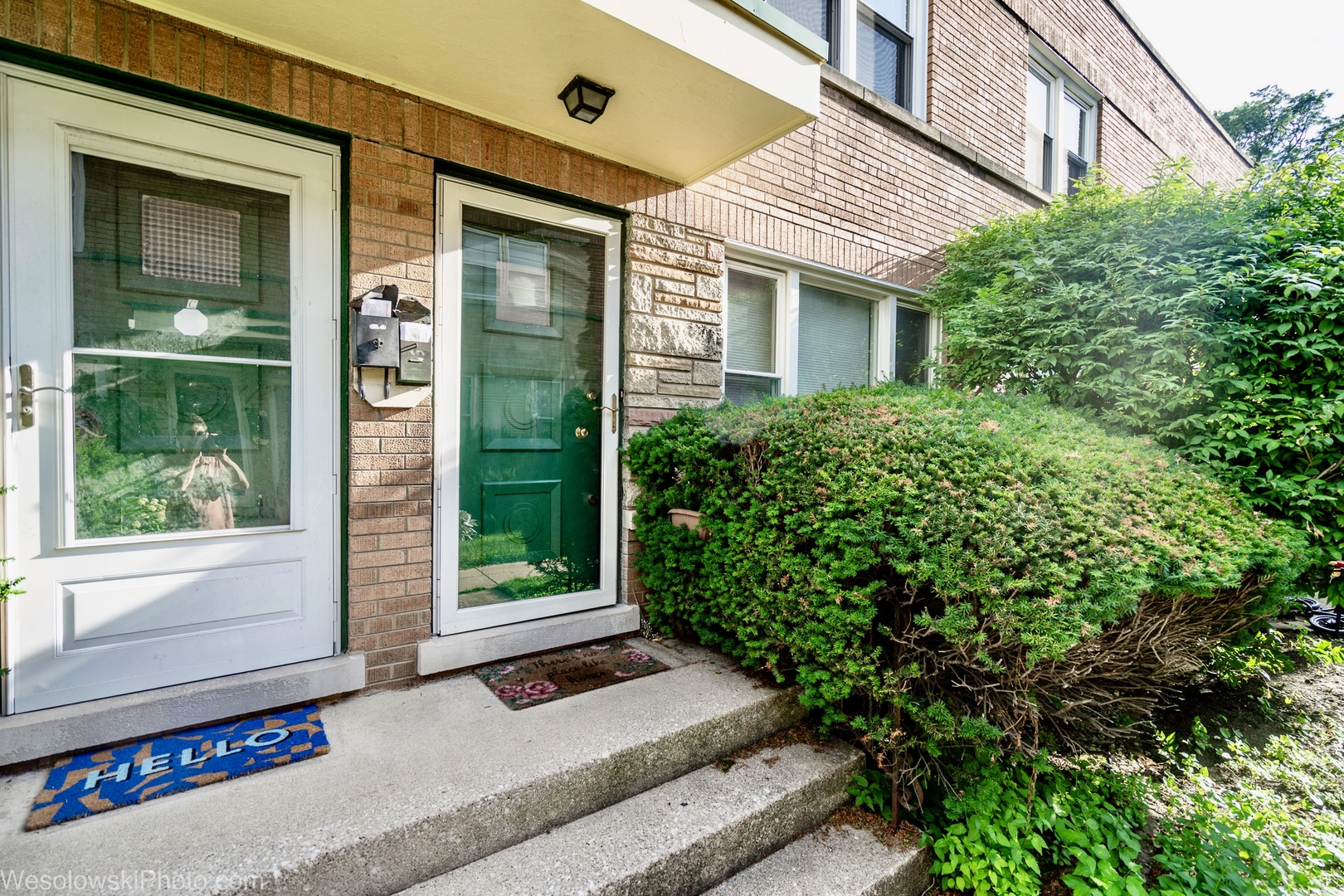 Homes for sale in Oak Park, IL | 1011 S Oak Park Ave #D, Oak Park, IL 60304 | MLS# 12702803