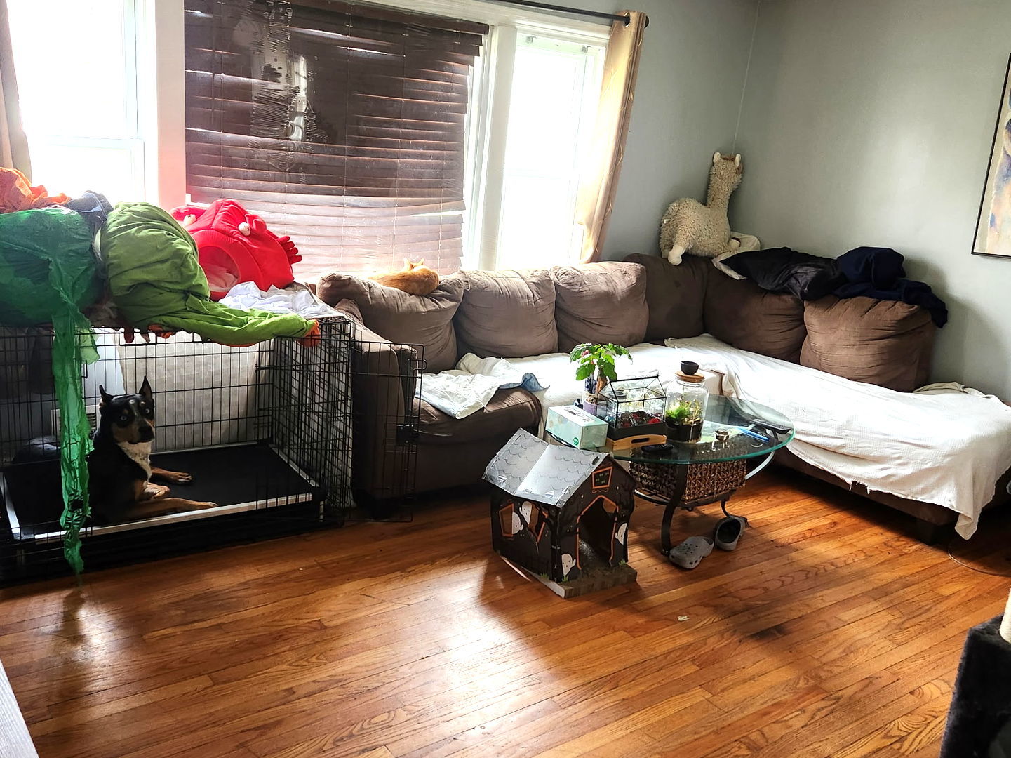 3rd image of 8006 Long Ave, Burbank, IL 60459 | MLS# 12702814