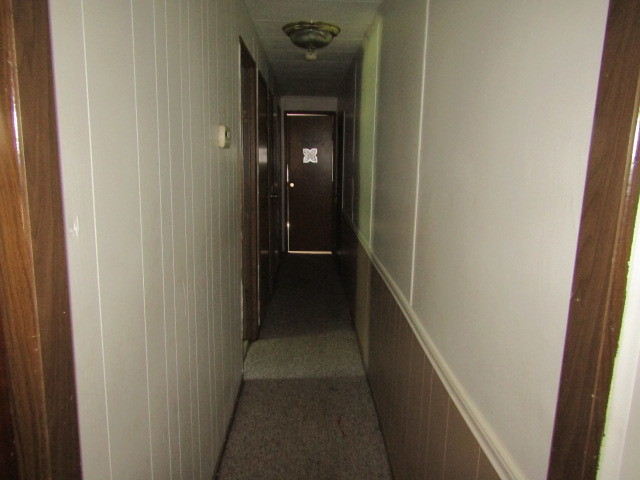 20th image of 302 Dunn St, Elizabethtown, IL 62931 | MLS# 12705102