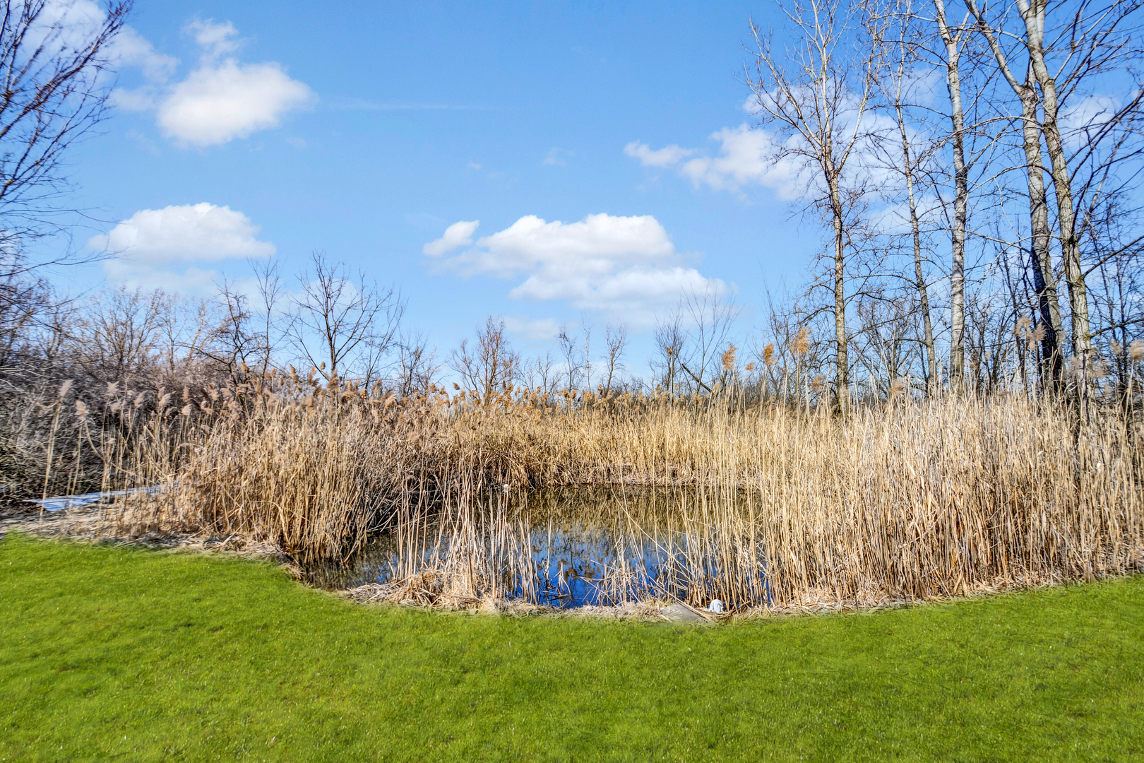 5th image of 1822 Barthelone St, Crest Hill, IL 60403 | MLS# 12705559