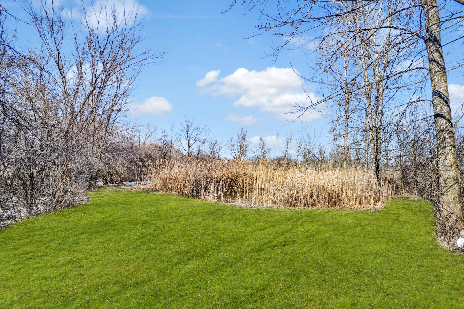 4th image of 1822 Barthelone St, Crest Hill, IL 60403 | MLS# 12705559