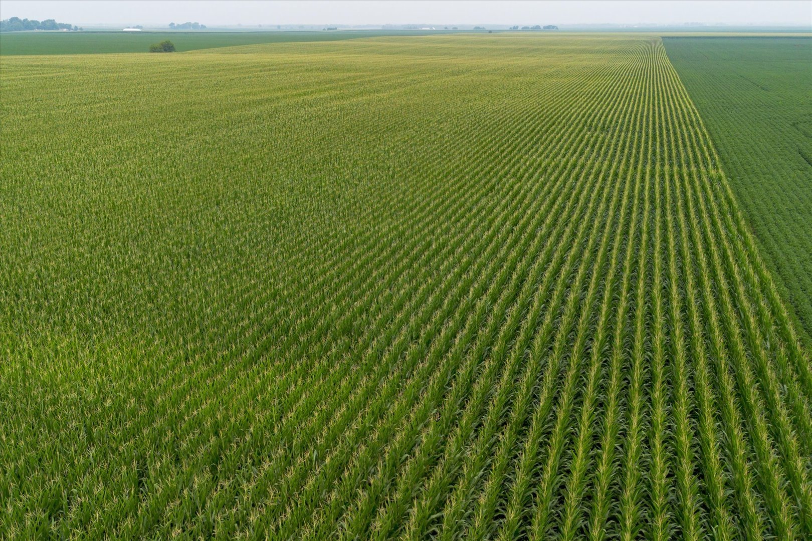 3rd image of State Rte 17, Varna, IL 61375 | MLS# 12705701