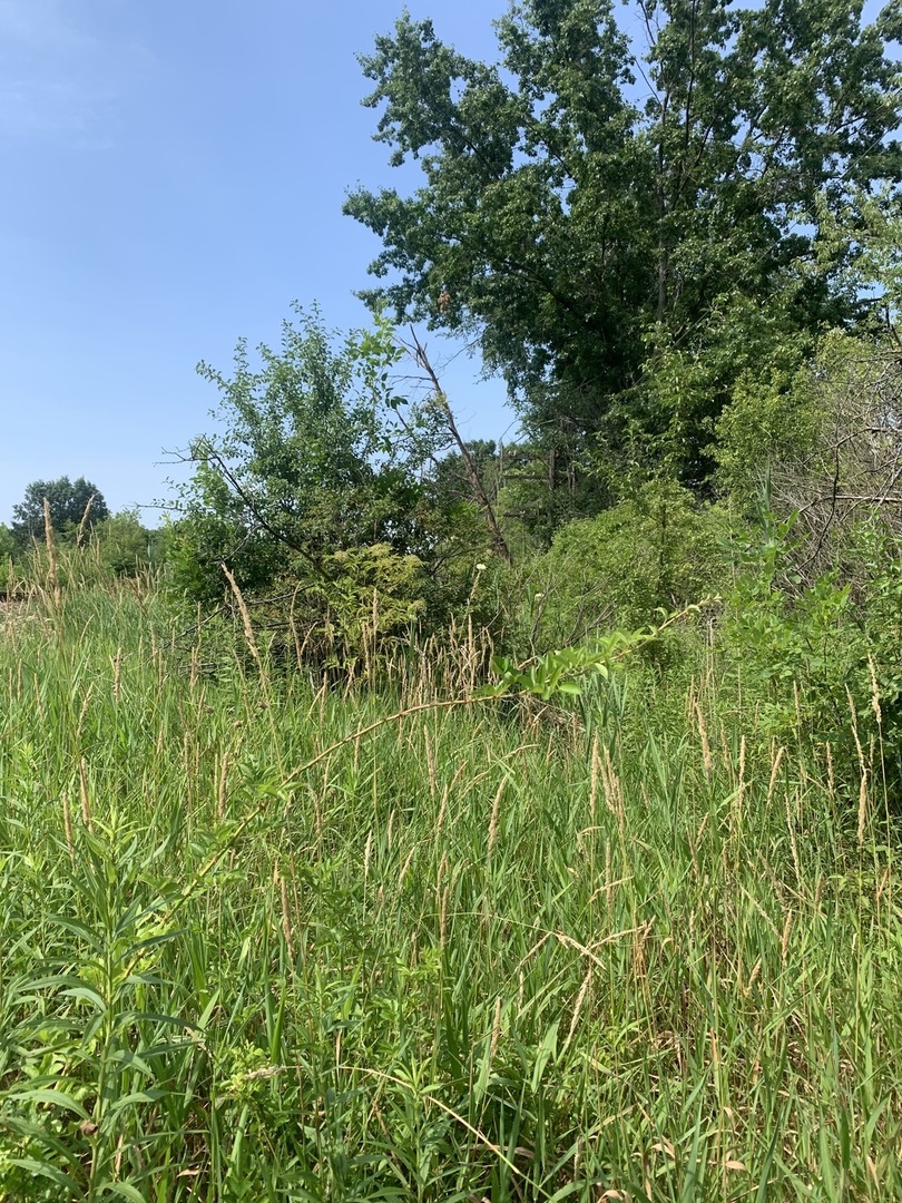2nd image of 39230 N Us Hwy 41 Hwy N, Wadsworth, IL 60083 | MLS# 12706890