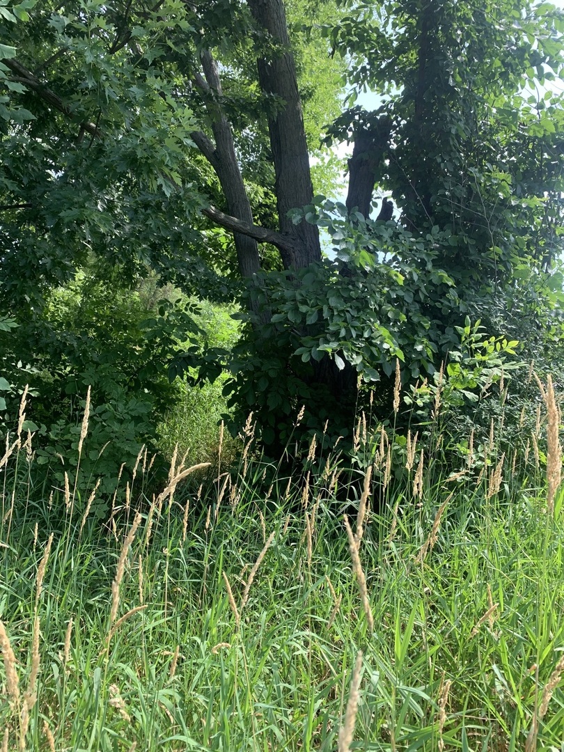 1st image of 39230 N Us Hwy 41 Hwy N, Wadsworth, IL 60083 | MLS# 12706890