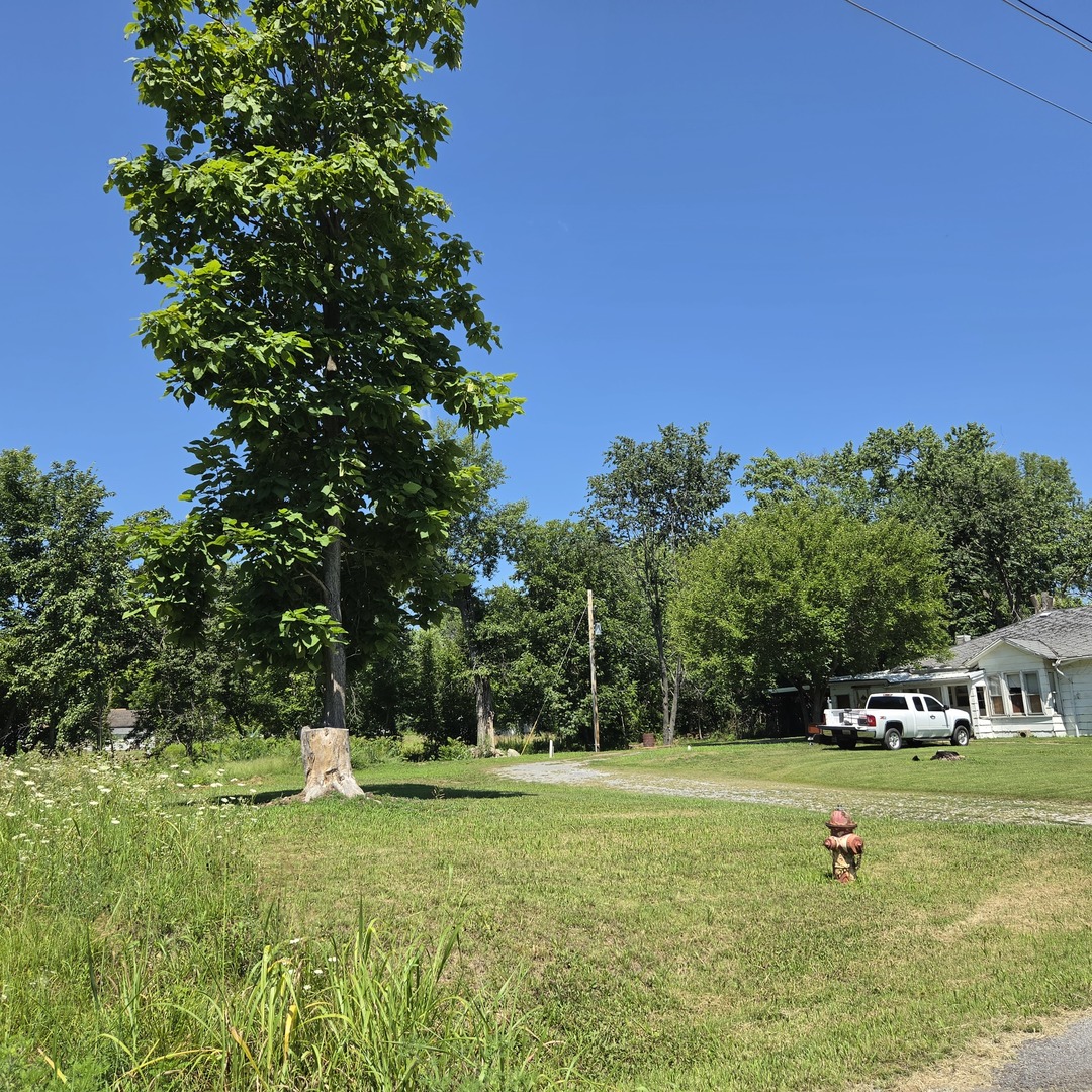 3rd image of 205 N Stuyvesant St, Benton, IL 62812 | MLS# 12707623