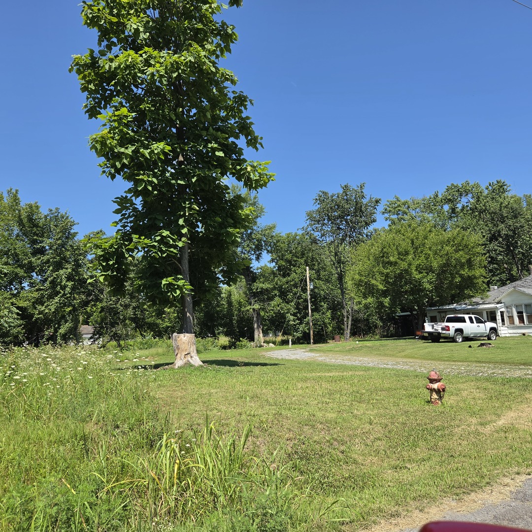 1st image of 205 N Stuyvesant St, Benton, IL 62812 | MLS# 12707623
