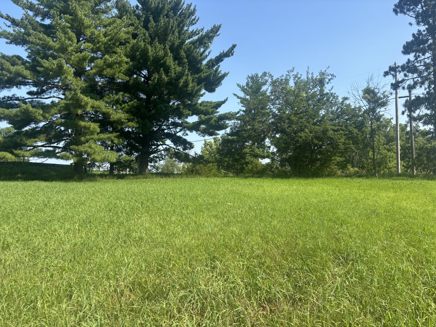 3rd image of 1866 Tanglewood Dr, Varna, IL 61375 | MLS# 12708835