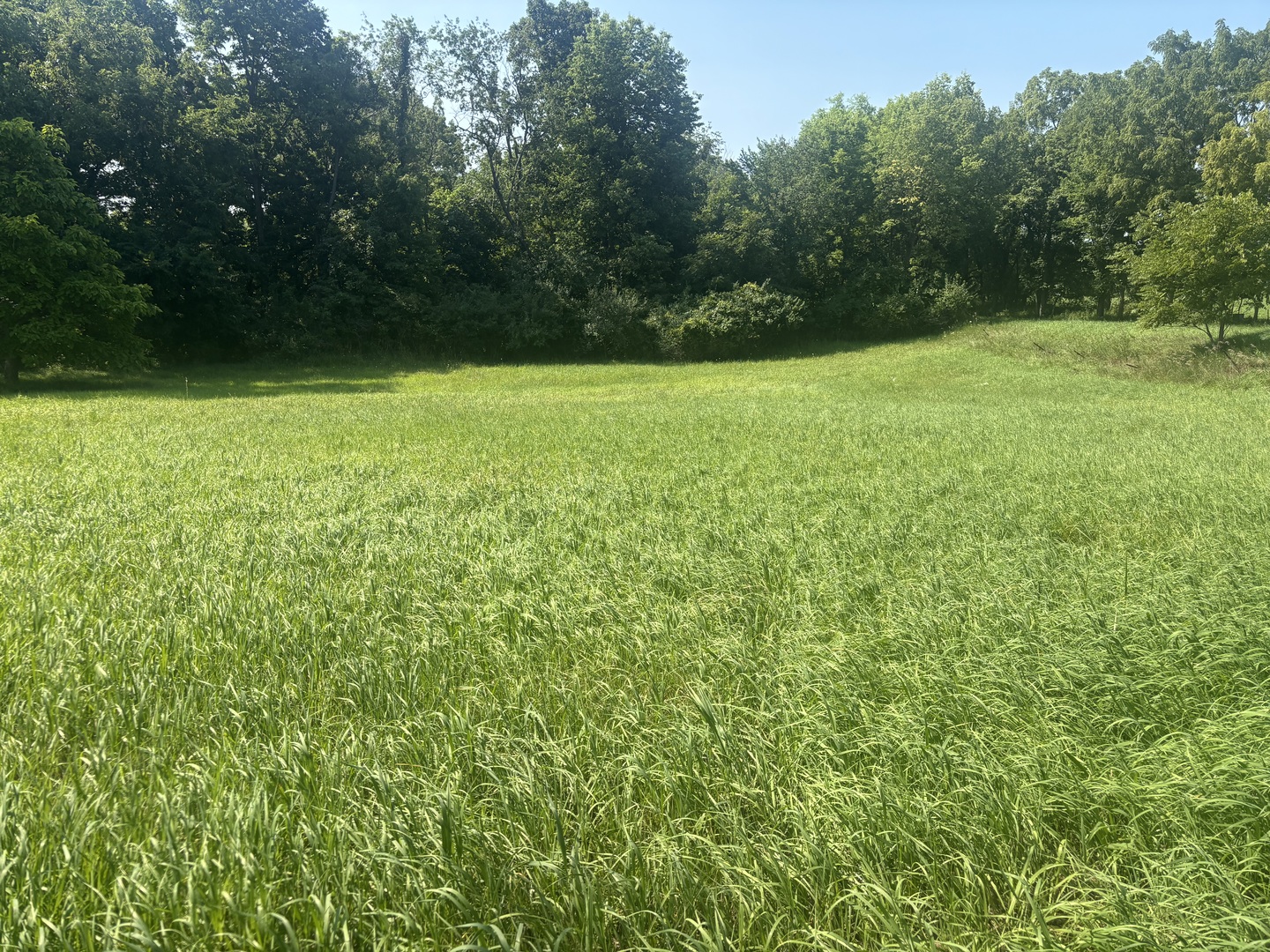 5th image of 1866 Tanglewood Dr, Varna, IL 61375 | MLS# 12708835