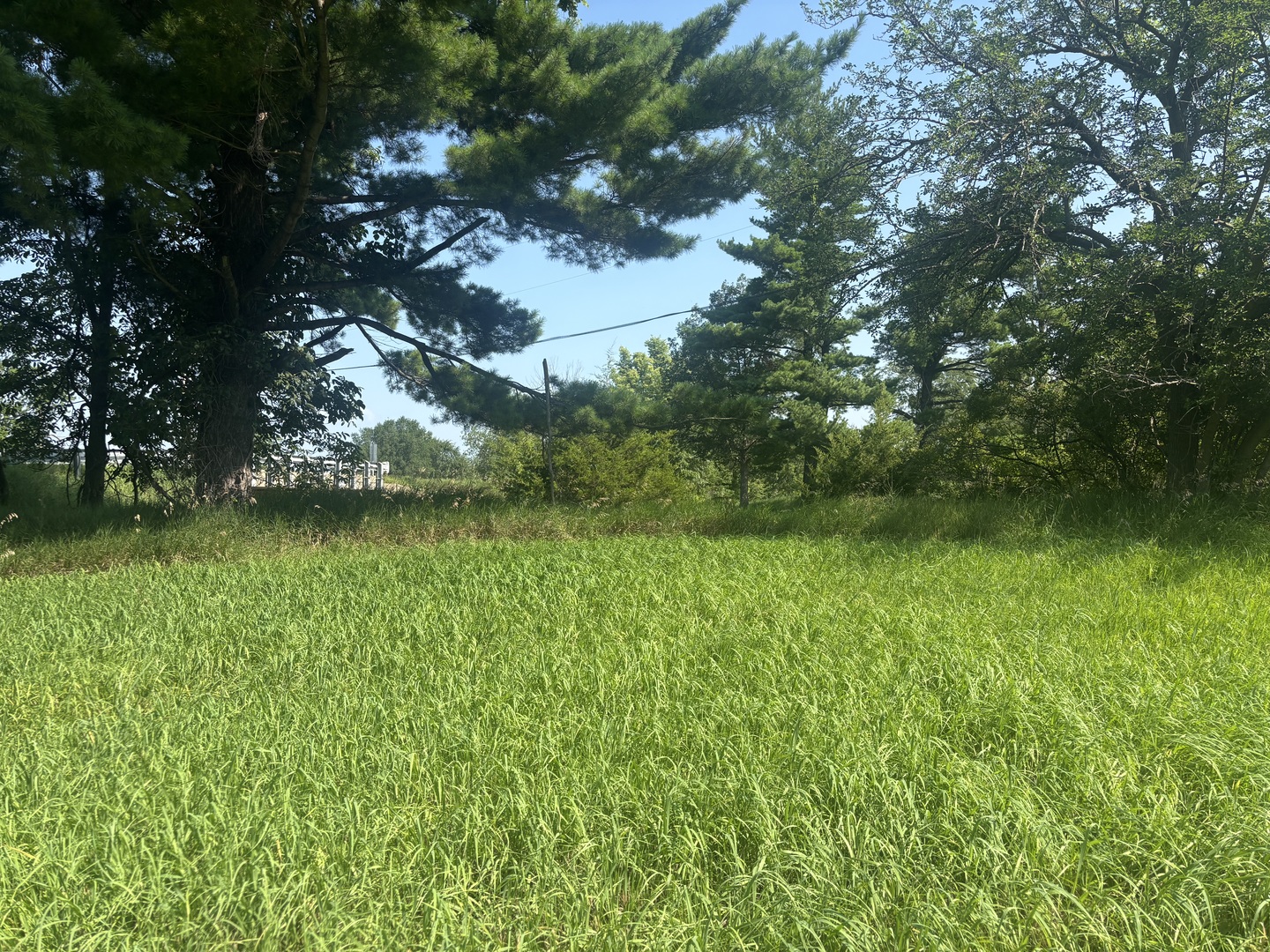 4th image of 1866 Tanglewood Dr, Varna, IL 61375 | MLS# 12708835