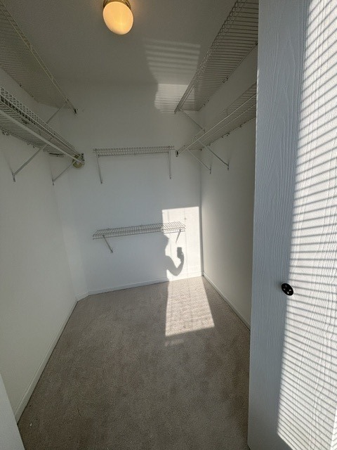 20th image of 2420 Sisters Ct, Naperville, IL 60564 | MLS# 12709184