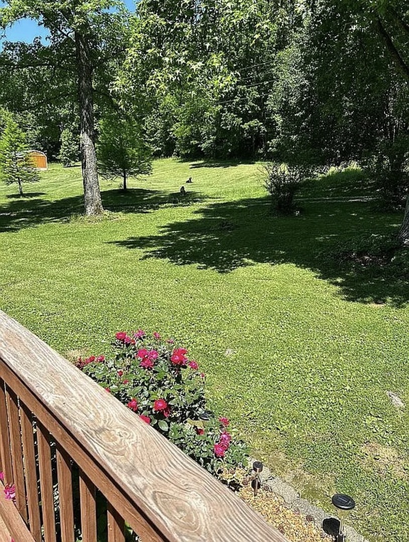 4th image of 6180 Reevesville Rd, Grantsburg, IL 62943 | MLS# 12709409