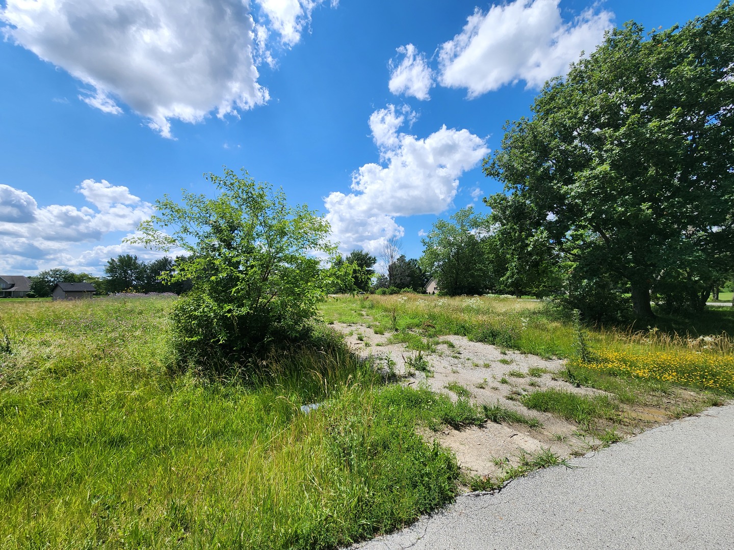 Homes for sale in Crete, IL | 26114 S Victoria Ln, Crete, IL 60417 | MLS# 12712449
