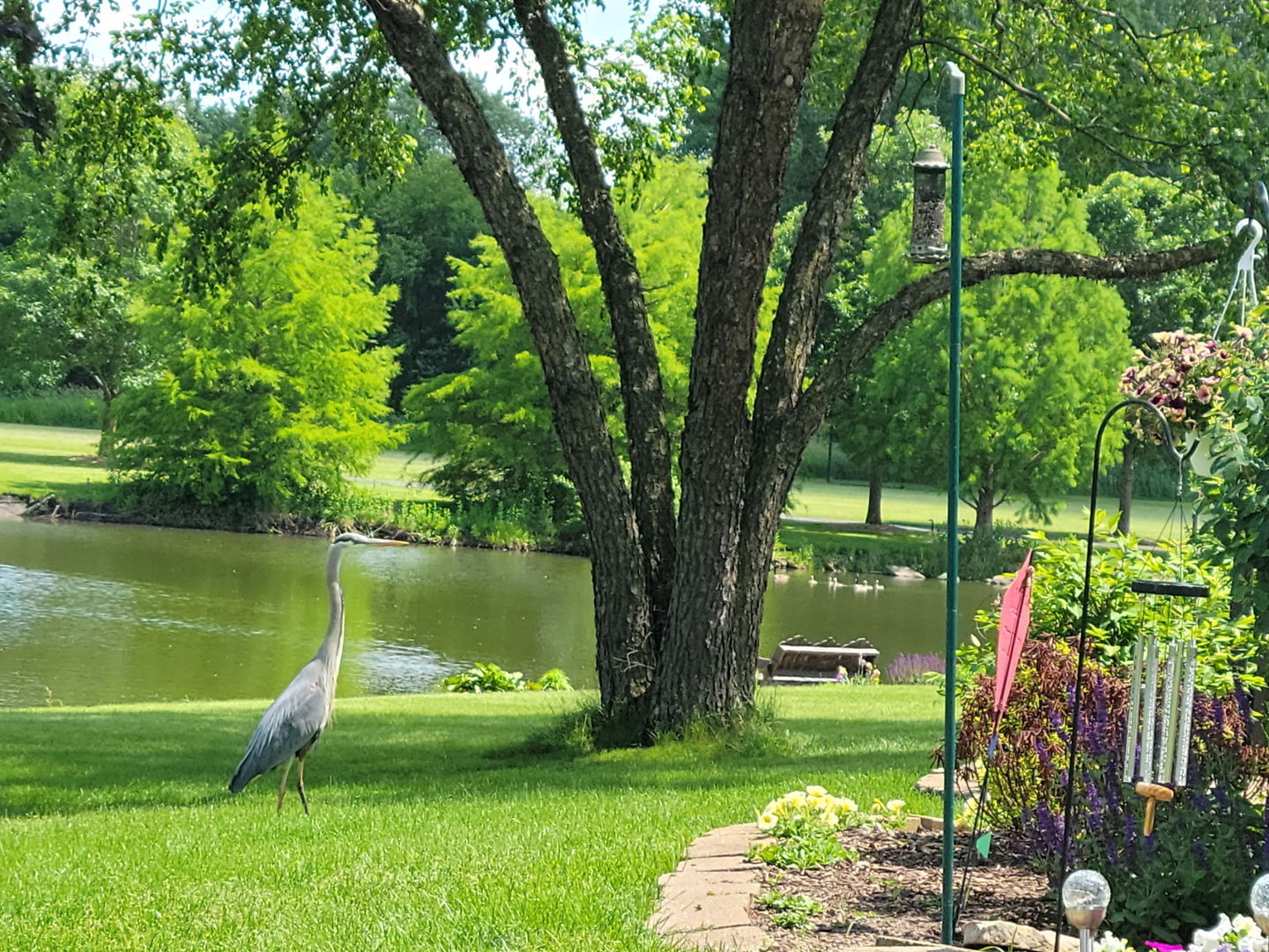 36th image of 36 Crofton Ct, Oswego, IL 60543 | MLS# 12713393