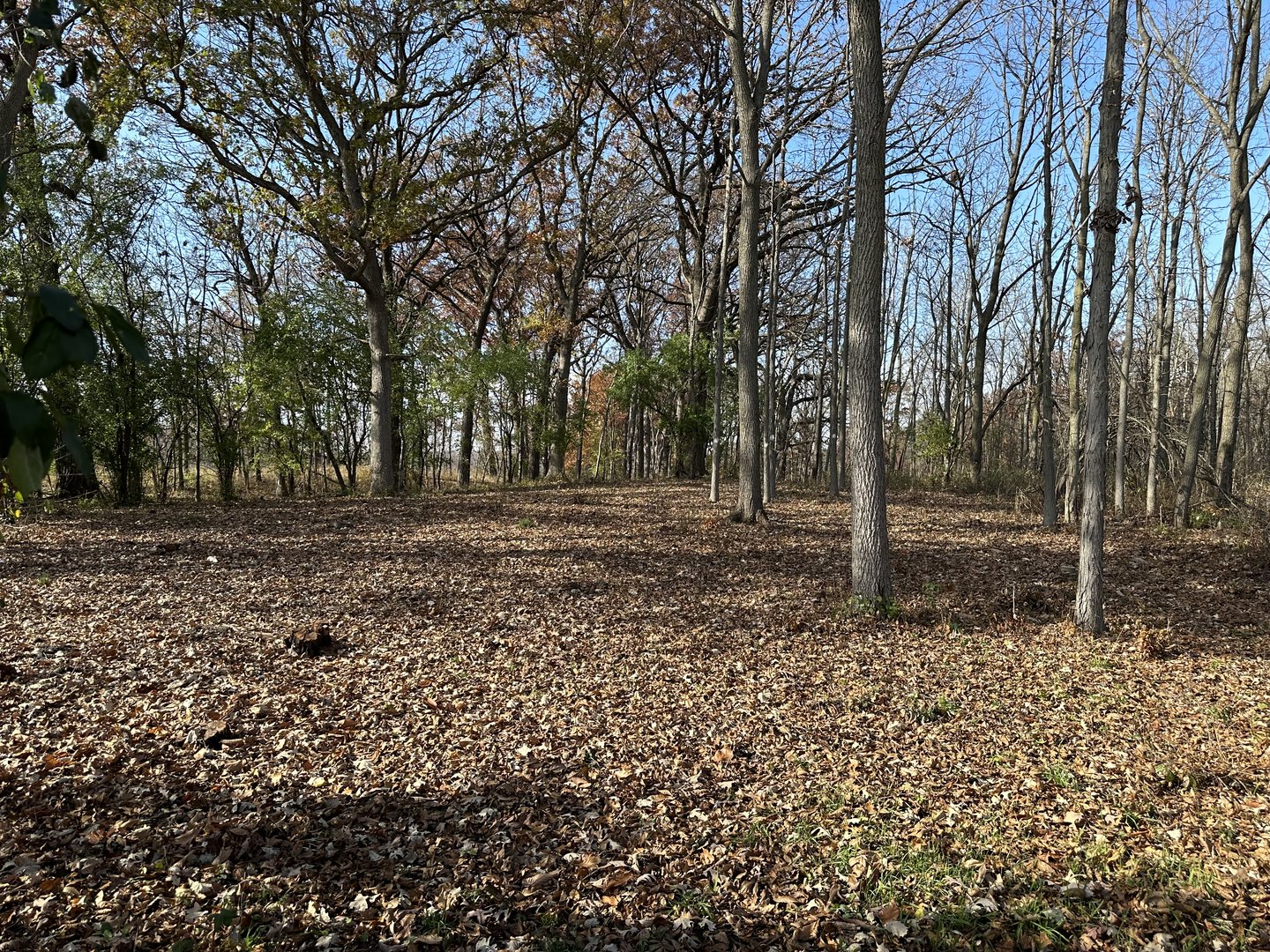 2nd image of 14942 W Concord Ct, Wadsworth, IL 60083 | MLS# 12713700