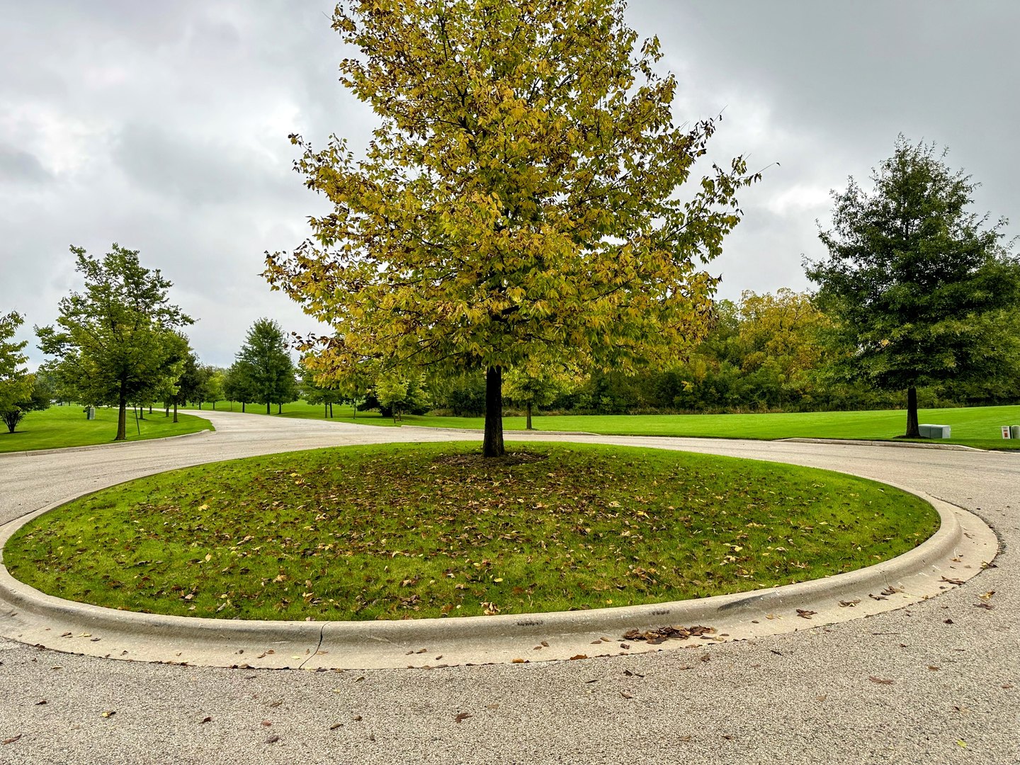 3rd image of 14942 W Concord Ct, Wadsworth, IL 60083 | MLS# 12713700
