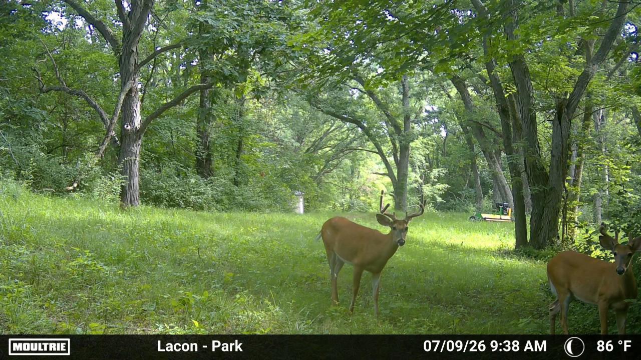 27th image of 430 Il 26 Rte, Lacon, IL 61540 | MLS# 12713963
