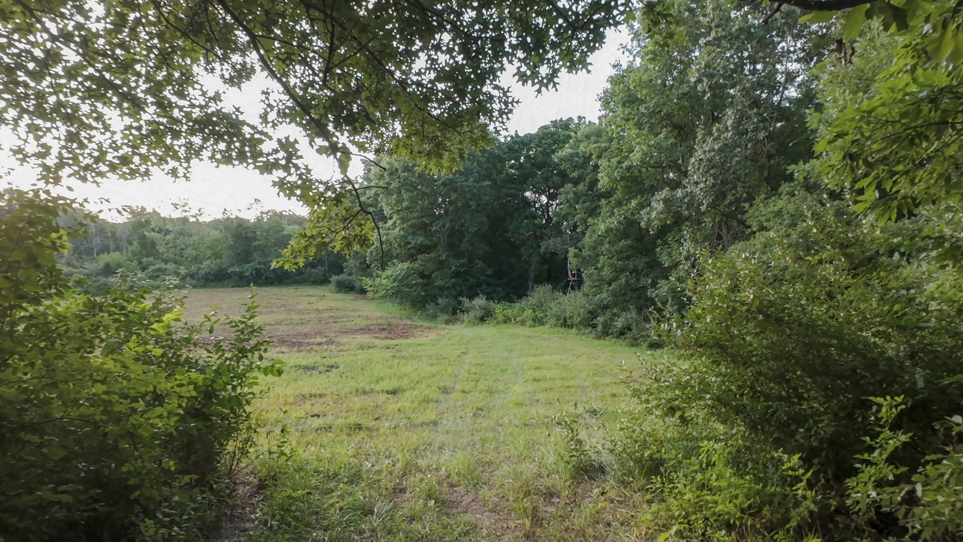 3rd image of 430 Il 26 Rte, Lacon, IL 61540 | MLS# 12713963