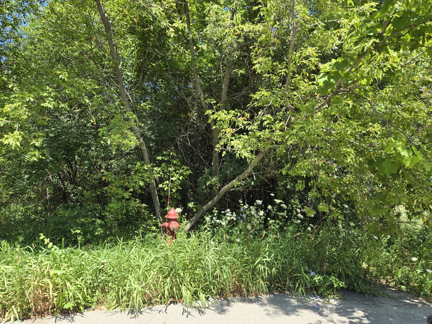 4th image of 0 Greenview Ave, Park City, IL 60085 | MLS# 12714045