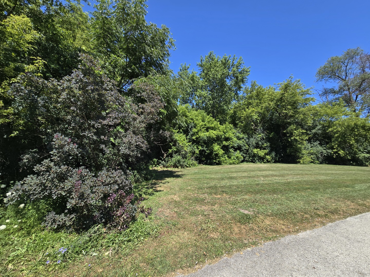 3rd image of 0 Greenview Ave, Park City, IL 60085 | MLS# 12714045