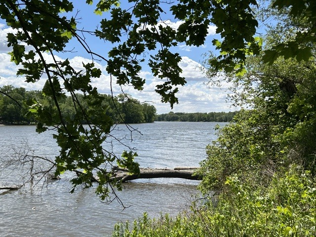 3rd image of 33709 S West River Rd, Wilmington, IL 60481 | MLS# 12716416