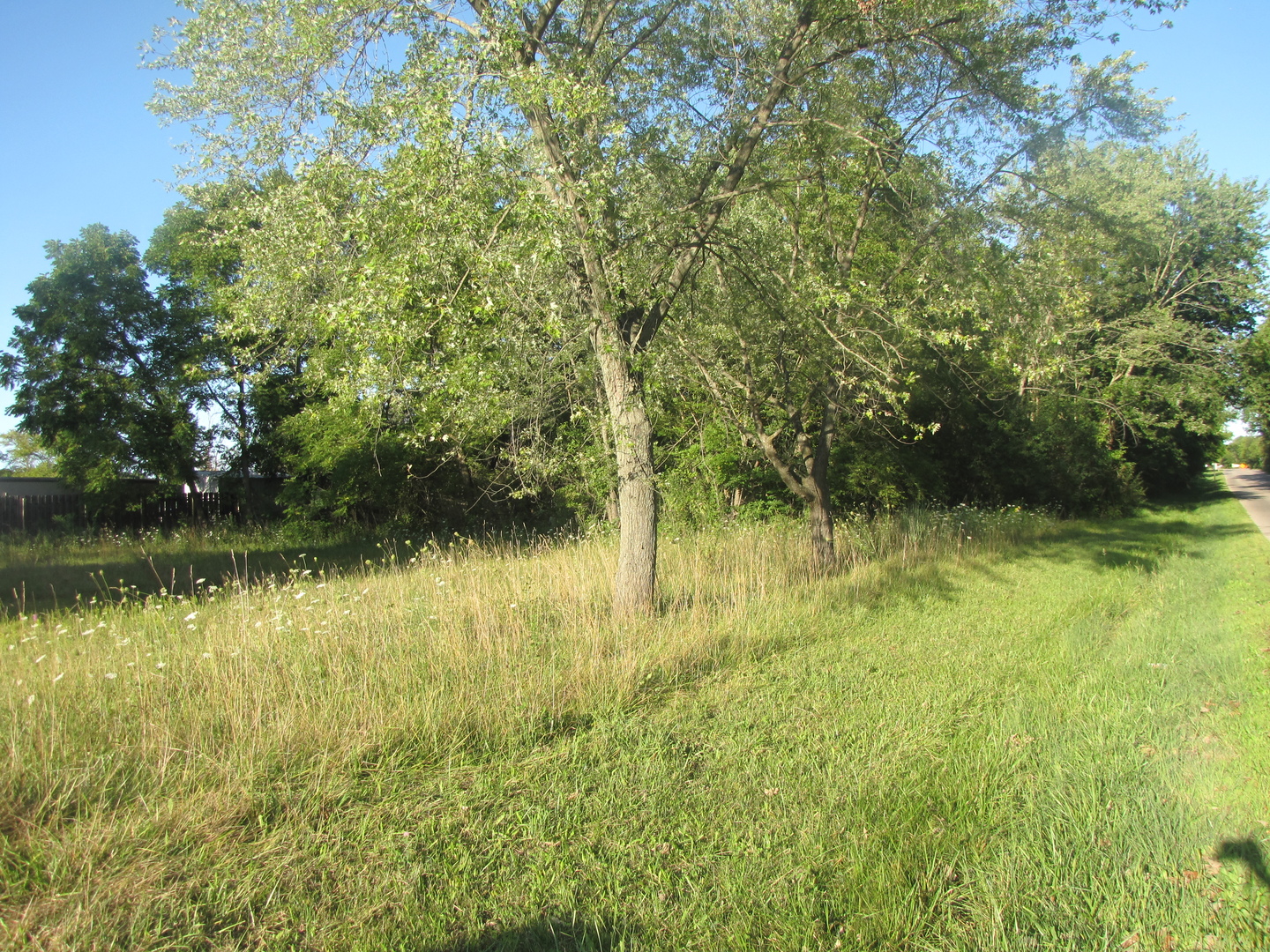 8th image of 24570 W Blackcherry Ln, Ingleside, IL 60041 | MLS# 12717665