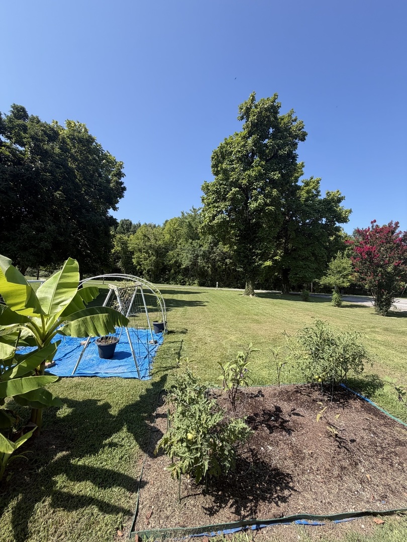 19th image of 808 W 10th St, Metropolis, IL 62960 | MLS# 12720457
