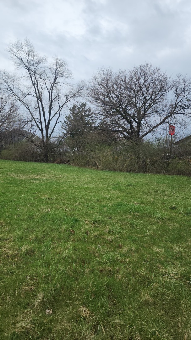 1st image of 0000 Mcdonough St, Joliet, IL 60436 | MLS# 12721734