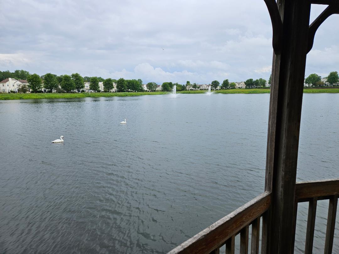 20th image of 329 Silverstone Dr #329, Carpentersville, IL 60110 | MLS# 12722686