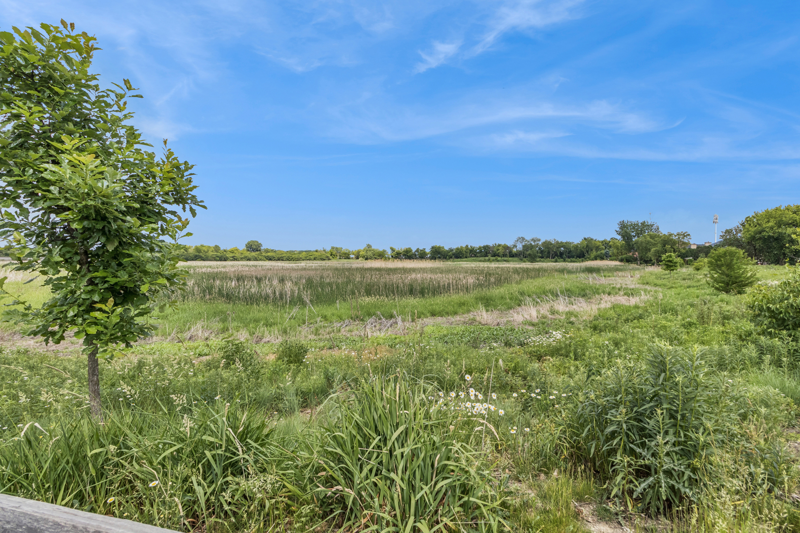 19th image of 208 Timberleaf Cir, Roselle, IL 60172 | MLS# 12723852