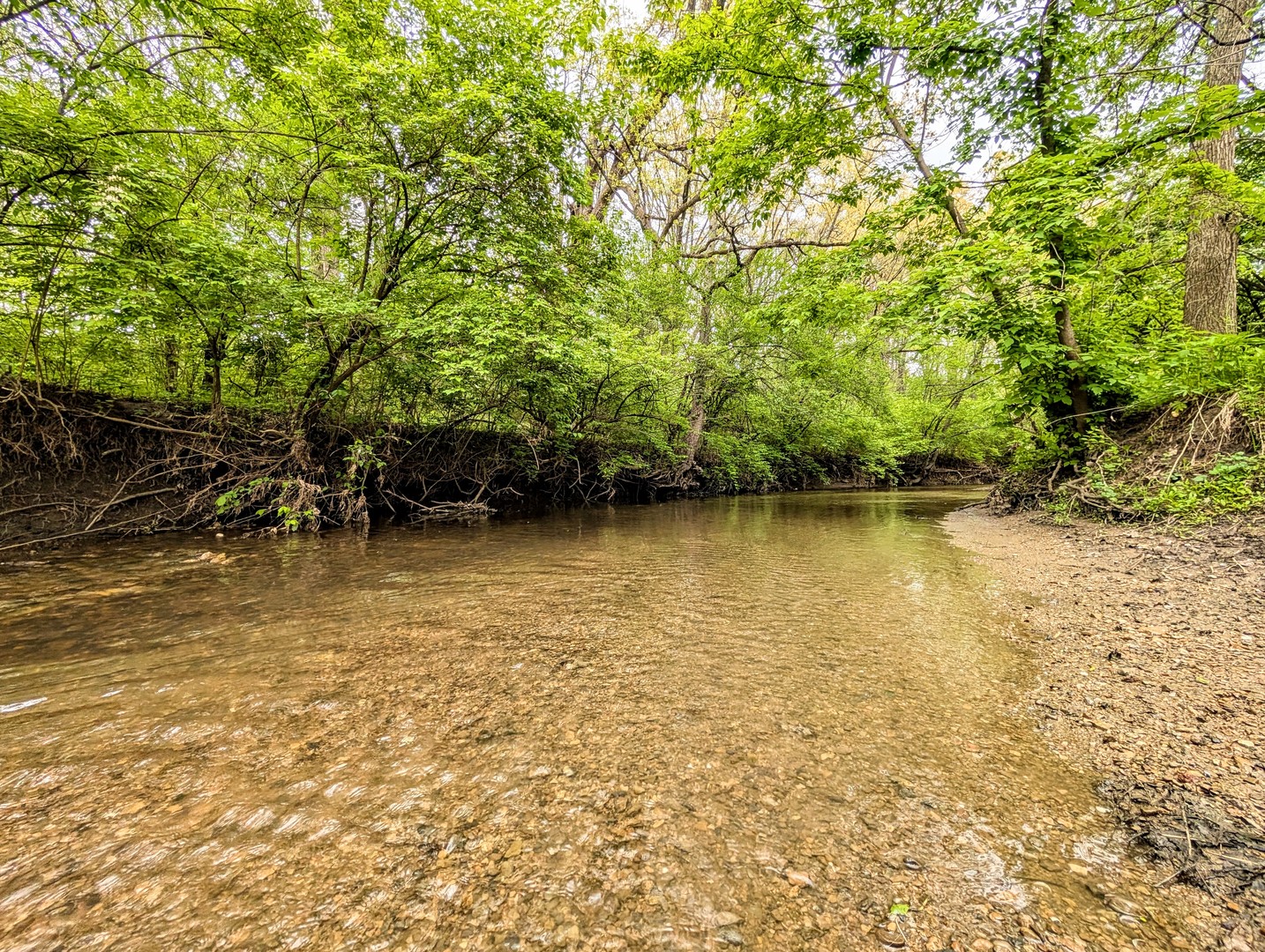 10th image of 12858 W Regan Rd, Mokena, IL 60448 | MLS# 12724171