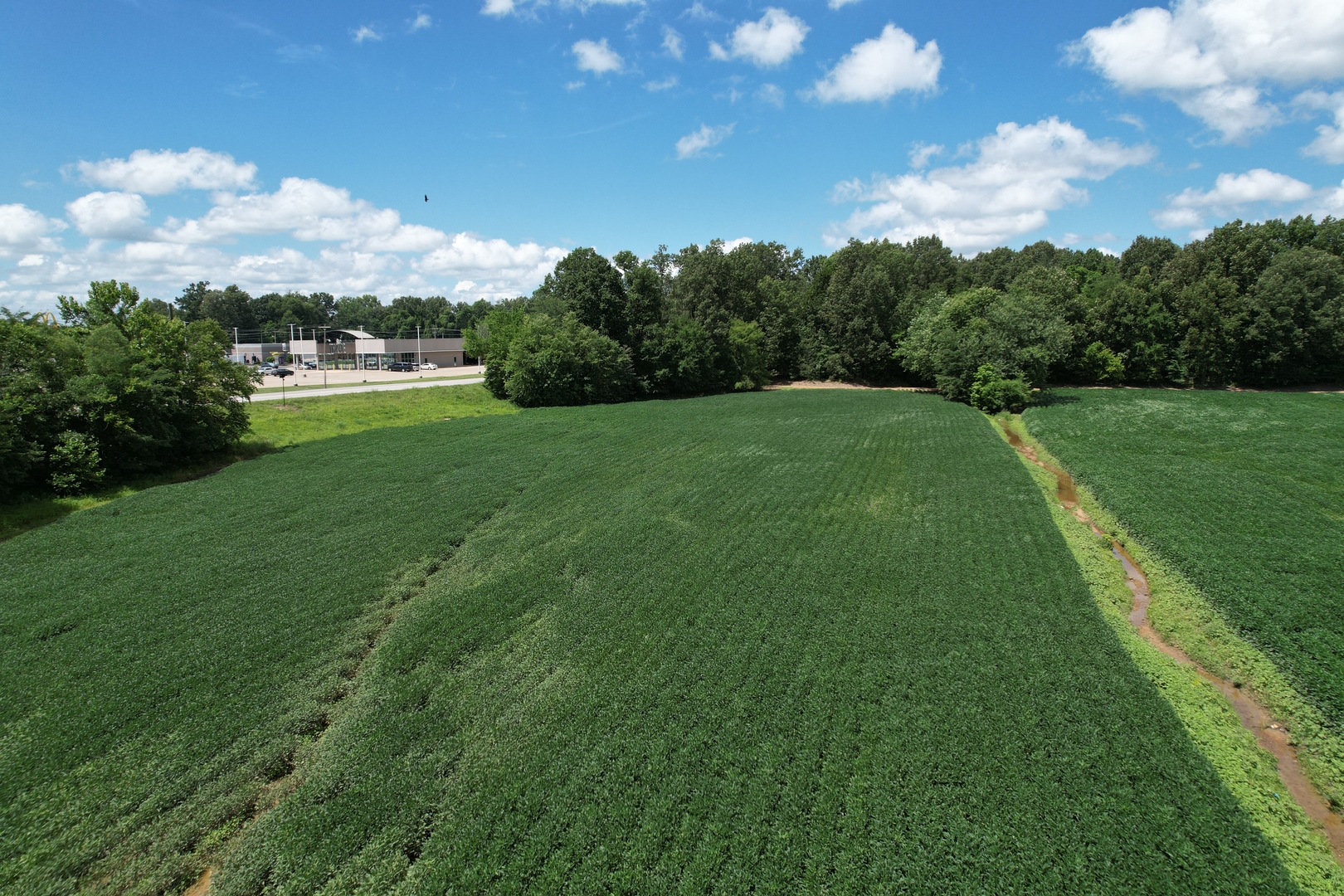 5th image of 0 E 12Th St, Metropolis, IL 62960 | MLS# 12725550