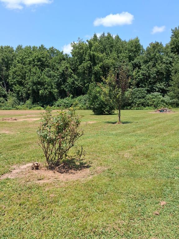 23rd image of 2559 Orient Rd, West Frankfort, IL 62896 | MLS# 12725885