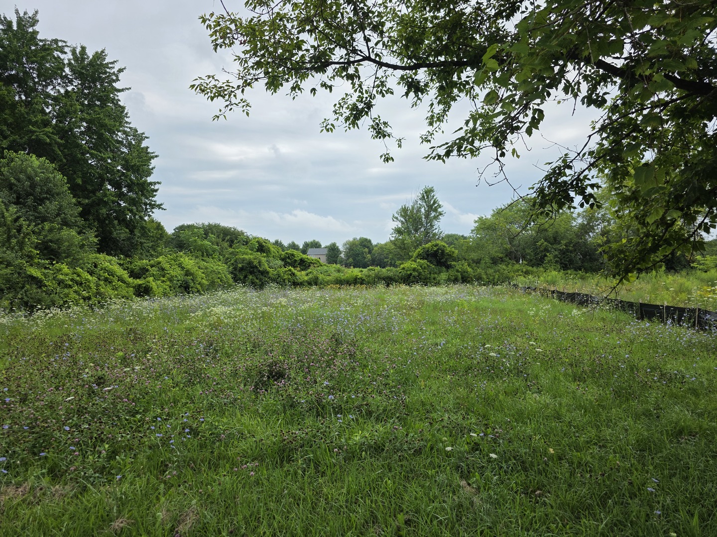 1st image of 975 Belle Plaine Ave, Gurnee, IL 60031 | MLS# 12726133