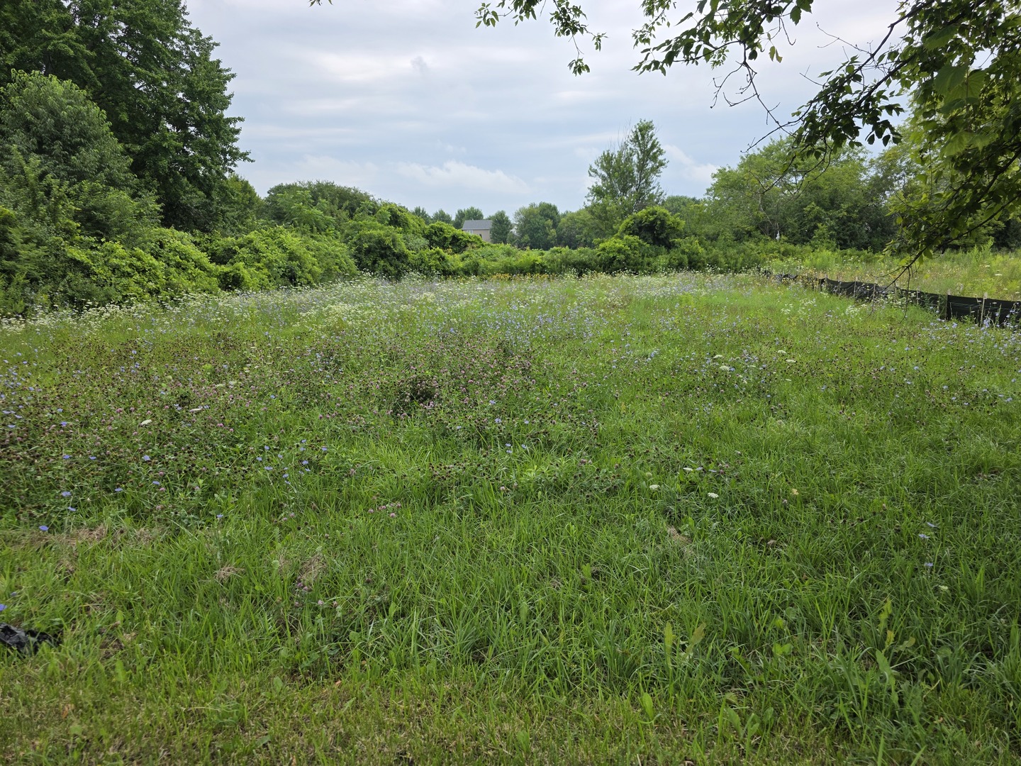 4th image of 975 Belle Plaine Ave, Gurnee, IL 60031 | MLS# 12726133