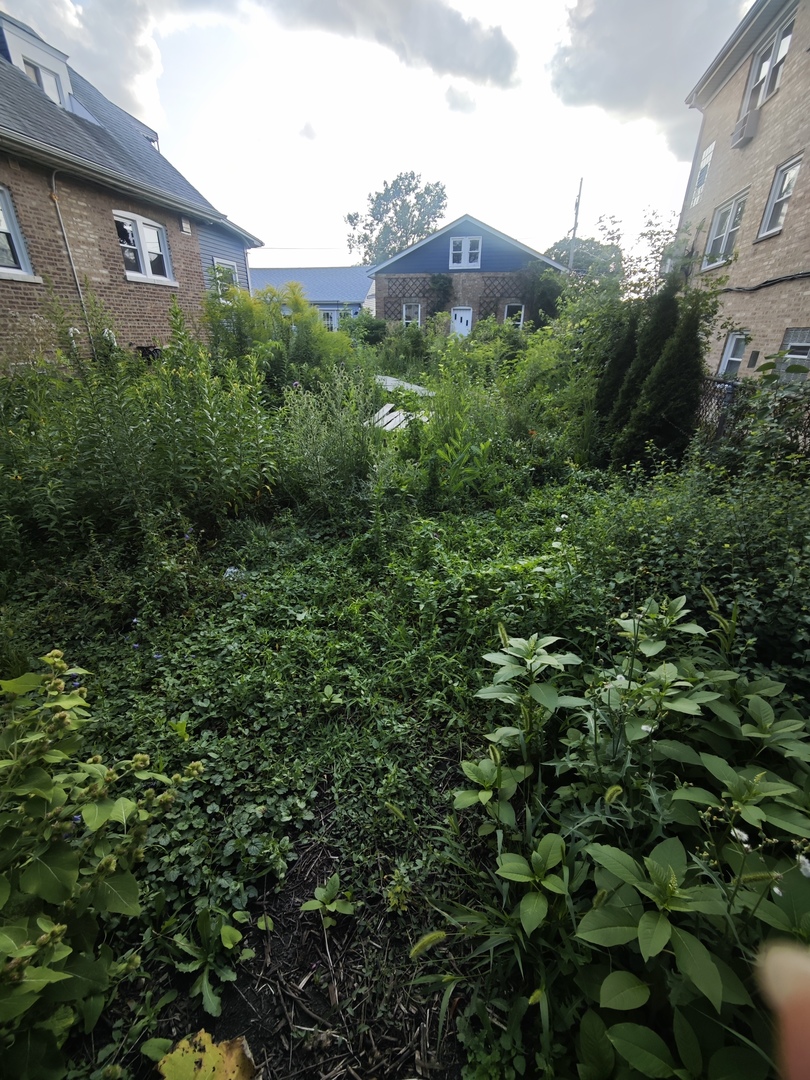 3rd image of 2926 N 75Th Ct, Elmwood Park, IL 60707 | MLS# 12728264