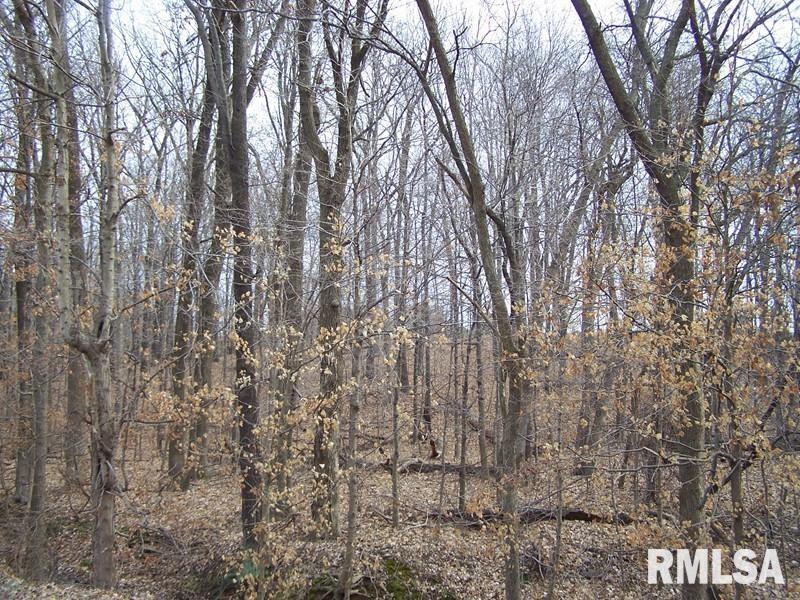 Homes for sale in Marion, IL | Tbd Country Club Rd, Marion, IL 62959 | MLS# EB308850