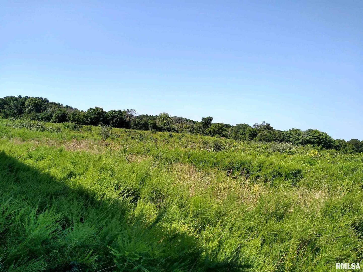 Homes for sale in Golconda, IL | 39 Bushwack Rd, Golconda, IL 62938 | MLS# EB440582