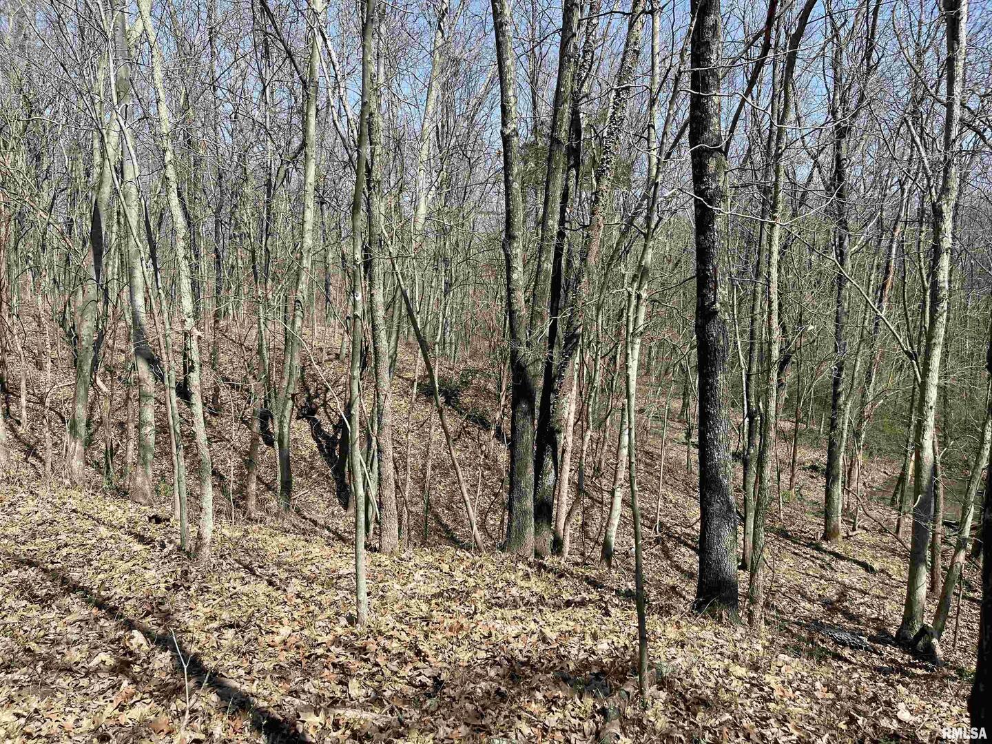 Homes for sale in Waltonville, IL | 000 N Hirons St, Waltonville, IL 62894 | MLS# EB444126