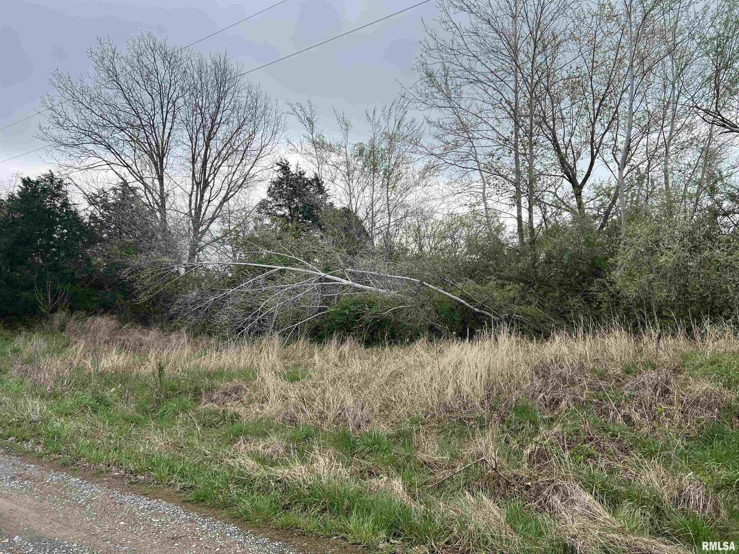 Homes for sale in Goreville, IL | Lot 103 Cherokee Rd, Goreville, IL 62939 | MLS# EB457496