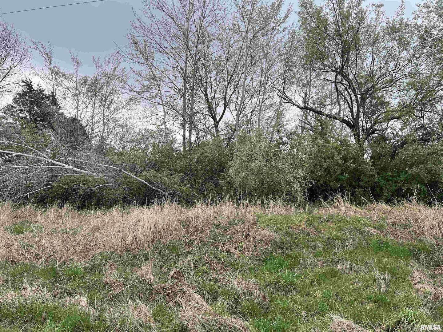 Homes for sale in Goreville, IL | Lot 103 Cherokee Rd, Goreville, IL 62939 | MLS# EB457496