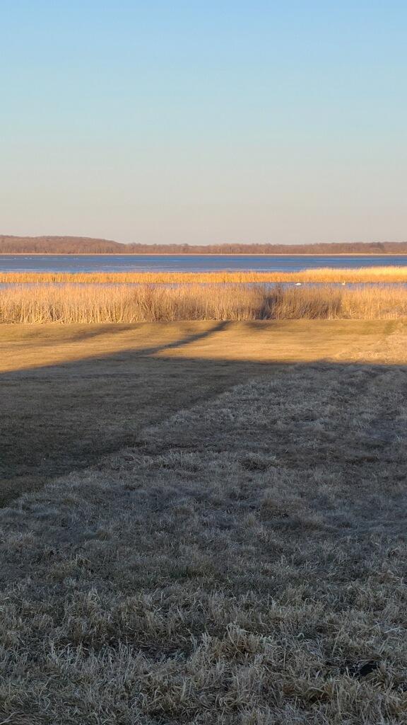 Homes for sale in Osakis, MN | 17323 Ryan Dr Ne, Osakis, MN 56360 | MLS# 6162833