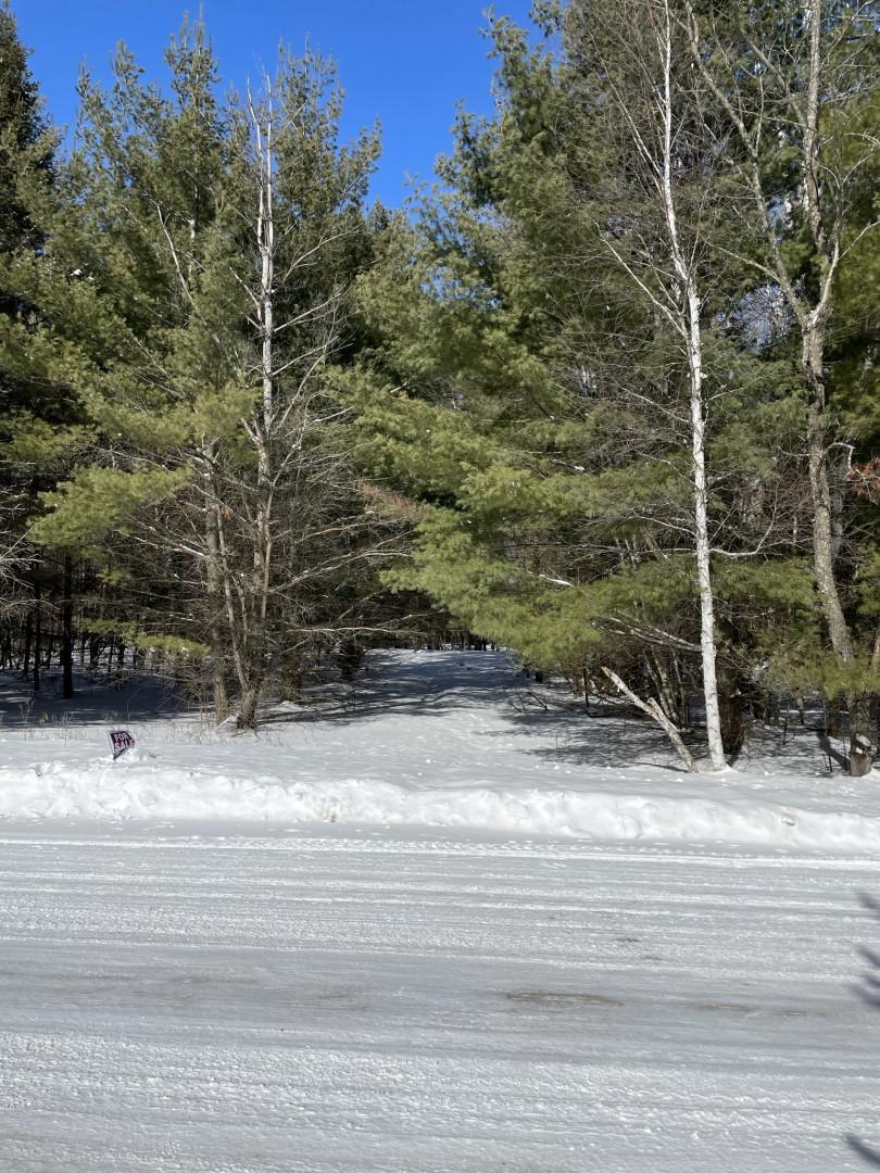 Homes for sale in Shell Lake, WI | 1603 S Lake Dr, Shell Lake, WI 54871 | MLS# 6168929