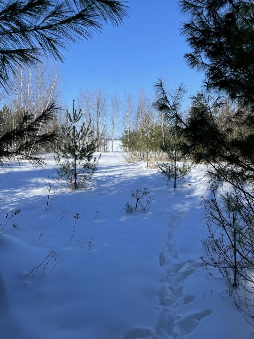 Homes for sale in Shell Lake, WI | 1603 S Lake Dr, Shell Lake, WI 54871 | MLS# 6168929