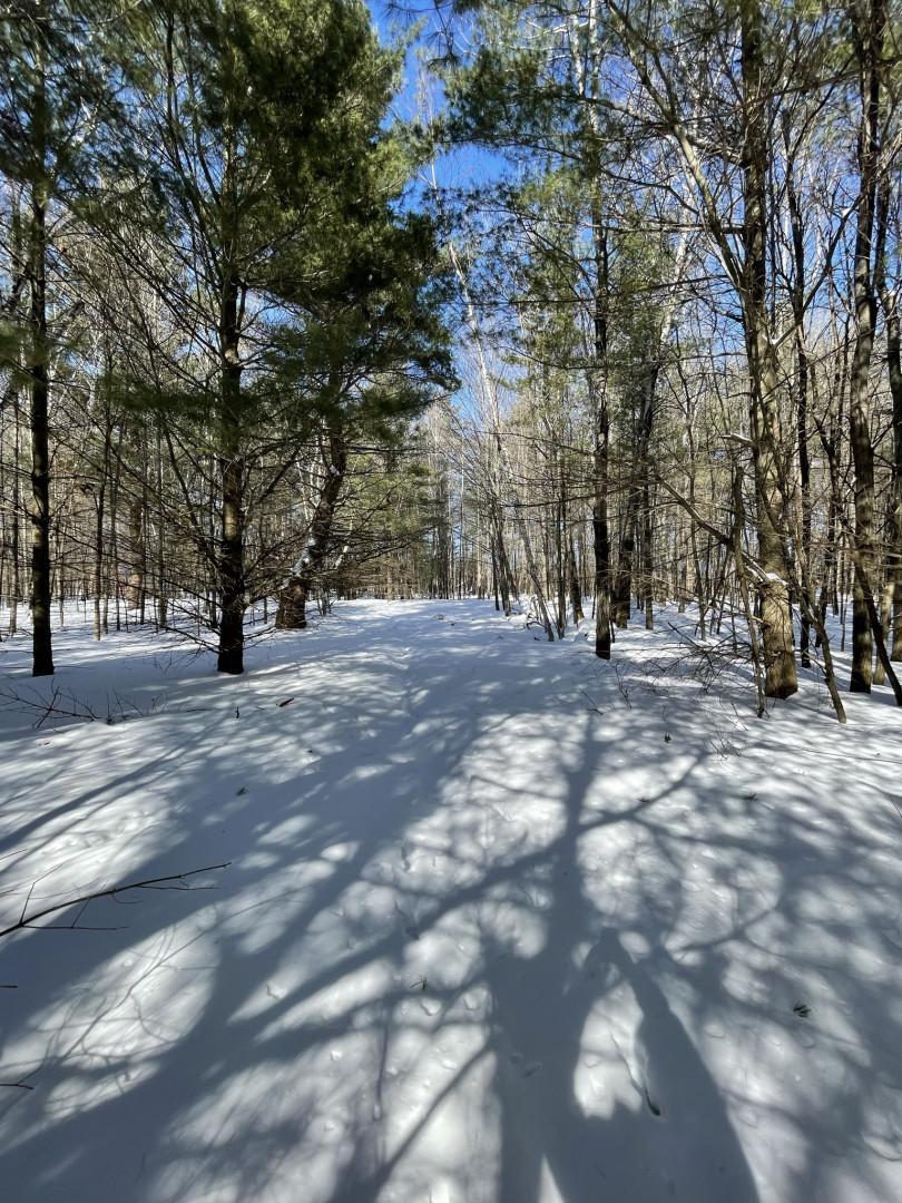 Homes for sale in Shell Lake, WI | 1603 S Lake Dr, Shell Lake, WI 54871 | MLS# 6168929