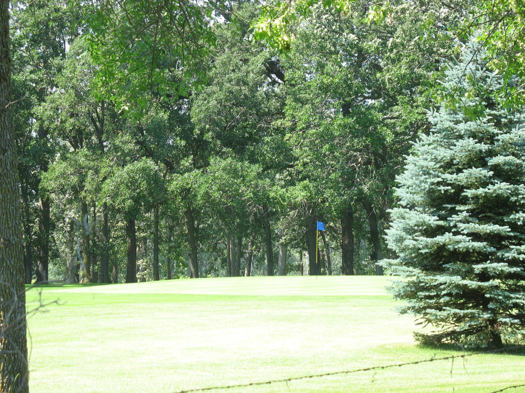 Homes for sale in Battle Lake, MN | Lot 2 Bk 1 285th St, Battle Lake, MN 56515 | MLS# 6509346