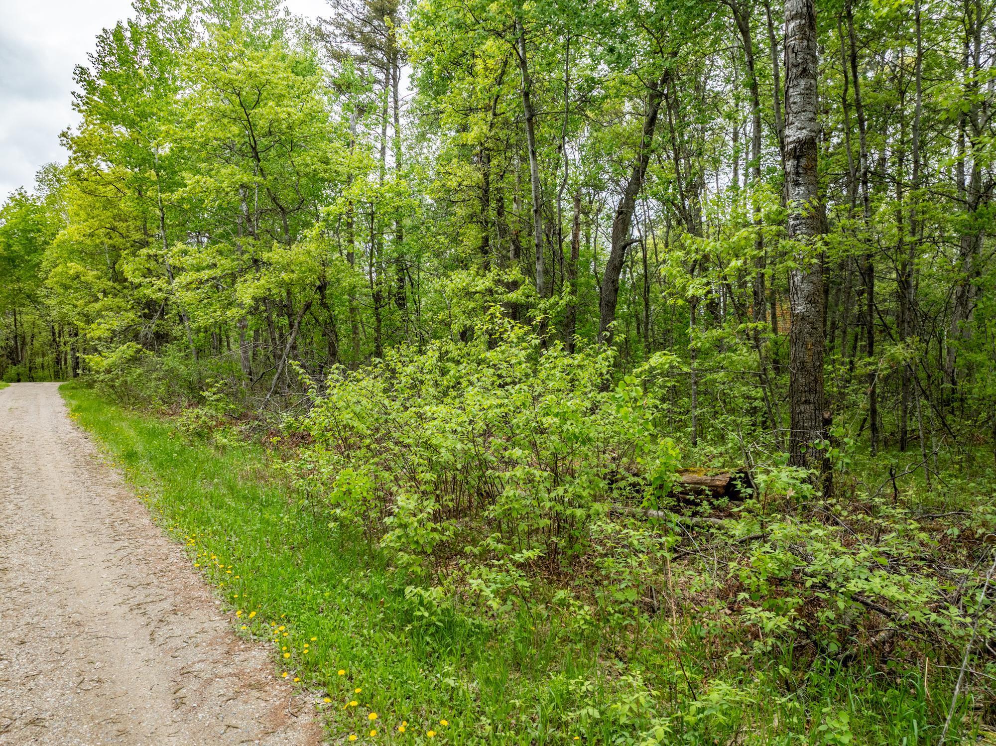 Homes for sale in Pequot Lakes, MN | Tbd Dodder Lane Sw, Pequot Lakes, MN 56472 | MLS# 6539354